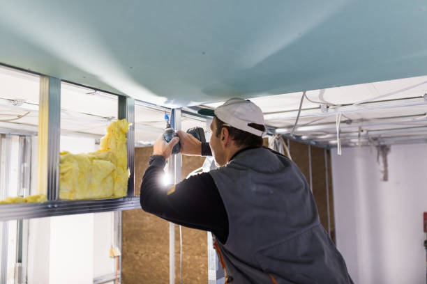 Best Commercial Insulation in Lewiston, CA