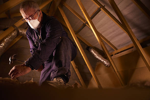 Best DIY Insulation Kits and Guidance in Lewiston, CA